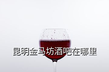 昆明金馬坊酒吧在哪里