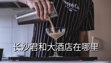 長沙君和大酒店在哪里