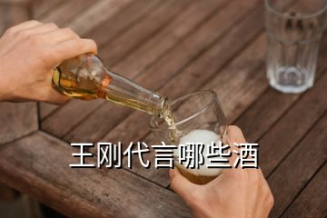 王剛代言哪些酒