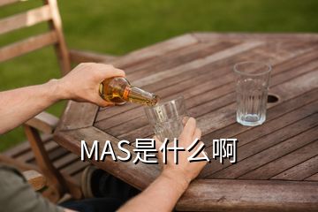 MAS是什么啊