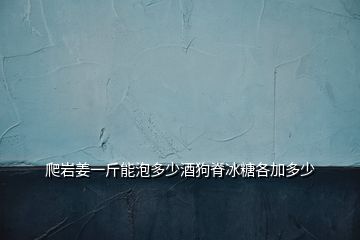 爬巖姜一斤能泡多少酒狗脊冰糖各加多少