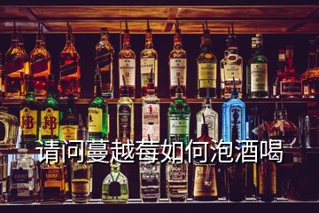 請(qǐng)問蔓越莓如何泡酒喝