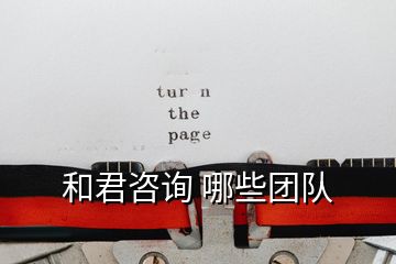 和君咨詢 哪些團(tuán)隊