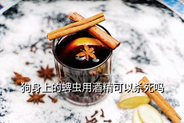 狗身上的蜱蟲(chóng)用酒精可以殺死嗎