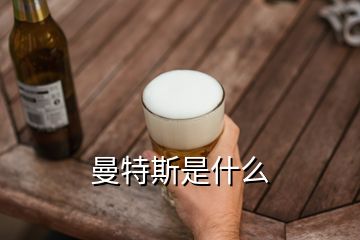 曼特斯是什么