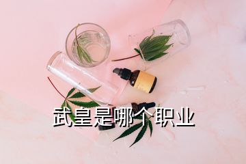 武皇是哪個職業(yè)