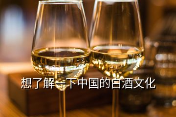 想了解一下中國的白酒文化