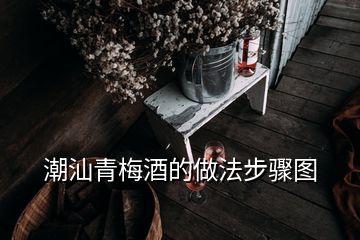 潮汕青梅酒的做法步驟圖