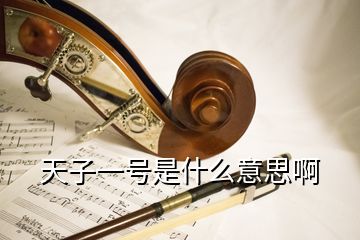 天子一號(hào)是什么意思啊