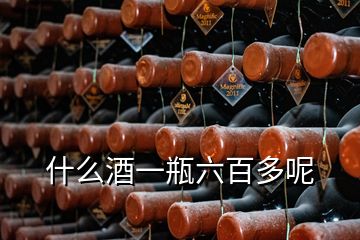 什么酒一瓶六百多呢