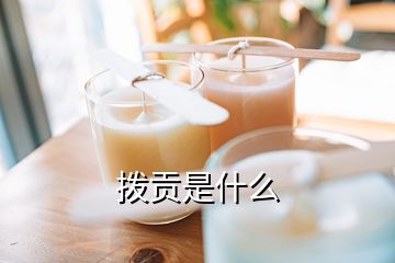 撥貢是什么