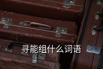 尋能組什么詞語