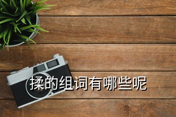 揉的組詞有哪些呢