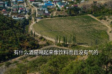 有什么酒是喝起來(lái)像飲料而且沒(méi)有氣的