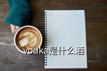 vodka是什么酒