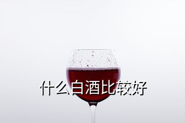 什么白酒比較好