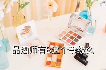 品酒師有B這個等級么