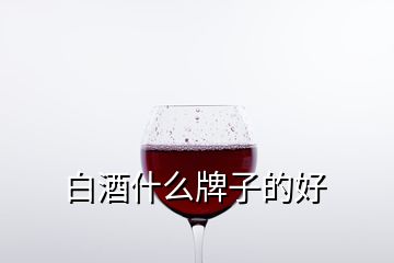 白酒什么牌子的好