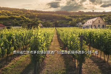 貴州省仁懷市茅臺鎮(zhèn)臺狼酒廠53度商務(wù)接待酒多少錢一瓶