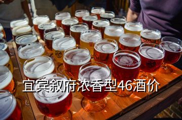 宜賓敘府濃香型46酒價