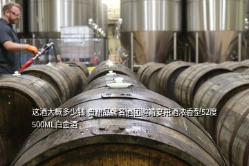 這酒大概多少錢 貴州品牌名酒團(tuán)購婚宴用酒濃香型52度500ML白金酒