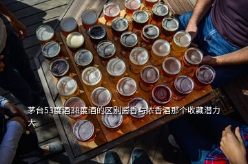 茅臺53度酒38度酒的區(qū)別醬香與濃香酒那個收藏潛力大