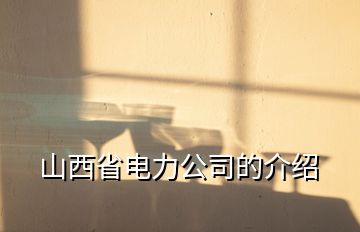 山西省電力公司的介紹