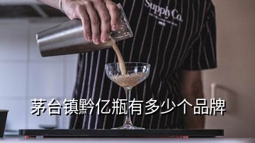 茅臺鎮(zhèn)黔億瓶有多少個(gè)品牌