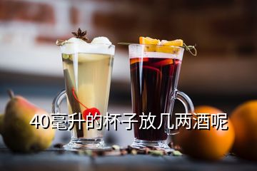 40毫升的杯子放幾兩酒呢