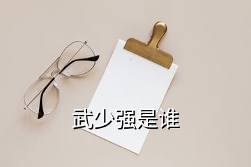 武少強(qiáng)是誰