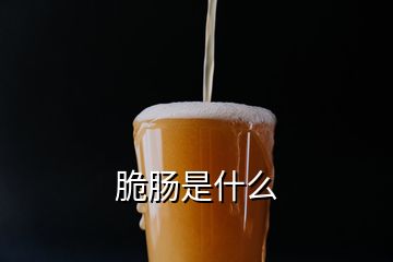 脆腸是什么