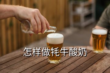 怎樣做牦牛酸奶