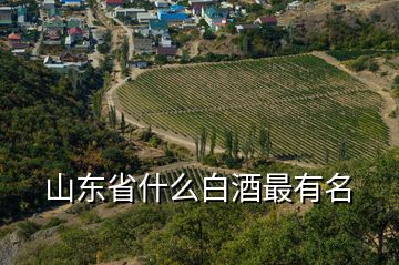 山東省什么白酒最有名