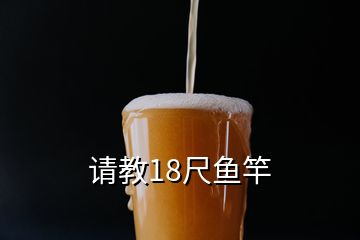 請教18尺魚竿