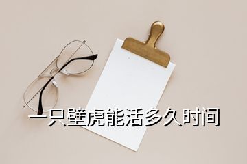 一只壁虎能活多久時(shí)間