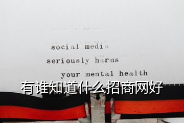 有誰知道什么招商網(wǎng)好