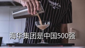 海華集團(tuán)是中國500強(qiáng)