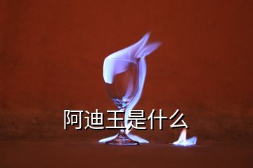 阿迪王是什么