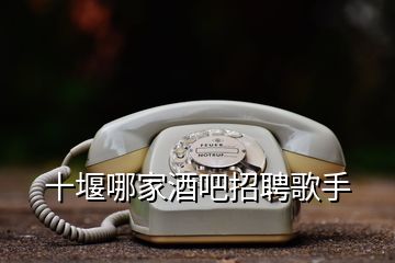 十堰哪家酒吧招聘歌手