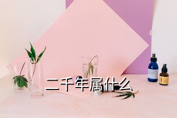 二千年屬什么