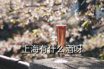 上海有什么酒呀