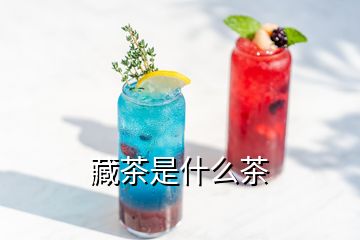 藏茶是什么茶