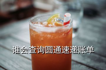 誰會(huì)查詢圓通速遞賬單