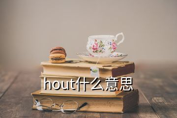 hout什么意思