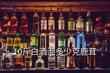 10斤白酒泡多少克鹿茸