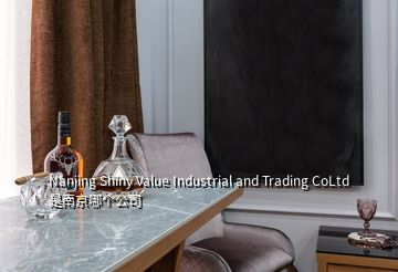 Nanjing Shiny Value Industrial and Trading CoLtd 是南京哪個公司