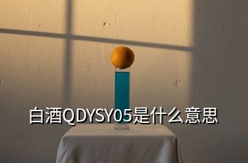 白酒QDYSY05是什么意思