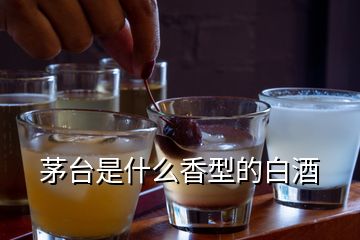 茅臺(tái)是什么香型的白酒