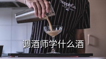 調(diào)酒師學什么酒