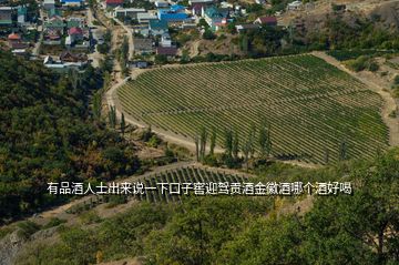 有品酒人士出來(lái)說(shuō)一下口子窖迎駕貢酒金徽酒哪個(gè)酒好喝